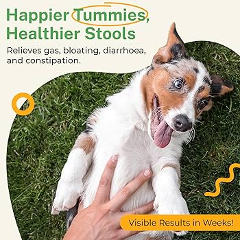 Amazon.co.jp: 犬用 プロバイオティック 消化器ケア